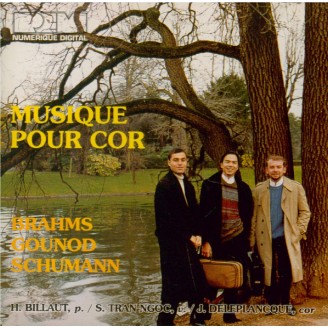 Musique pour cor
