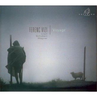Voyage