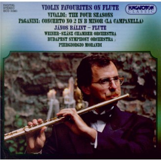 Violin Favourites on Flute