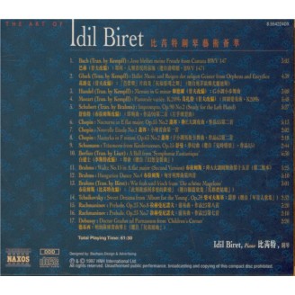 The Art of Idil Biret
