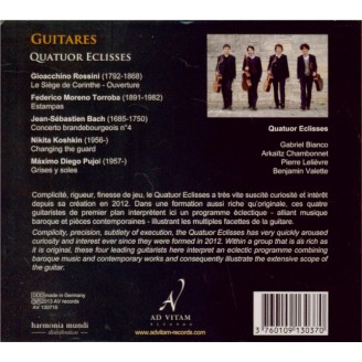 Guitares