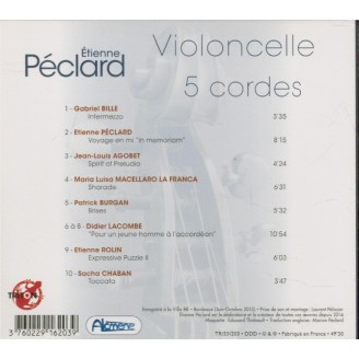 Violoncelle 5 cordes