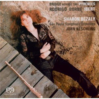 Bridge across the Pyrenees..