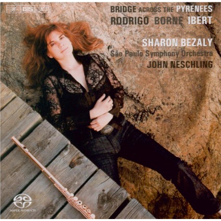 Bridge across the Pyrenees..