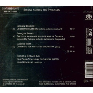 Bridge across the Pyrenees..