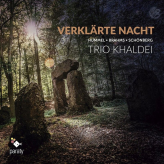 SCHOENBERG - Trio Khaldei - Verklärte Nacht op.4 : arrangement pour trio