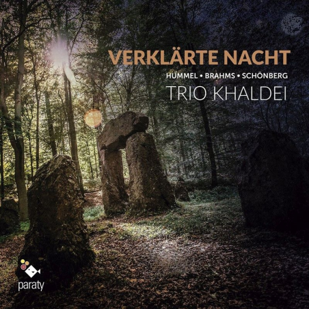 SCHOENBERG - Trio Khaldei - Verklärte Nacht op.4 : arrangement pour trio