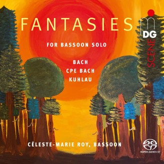 Fantasies for bassoon solo..