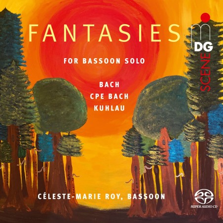Fantasies for bassoon solo..