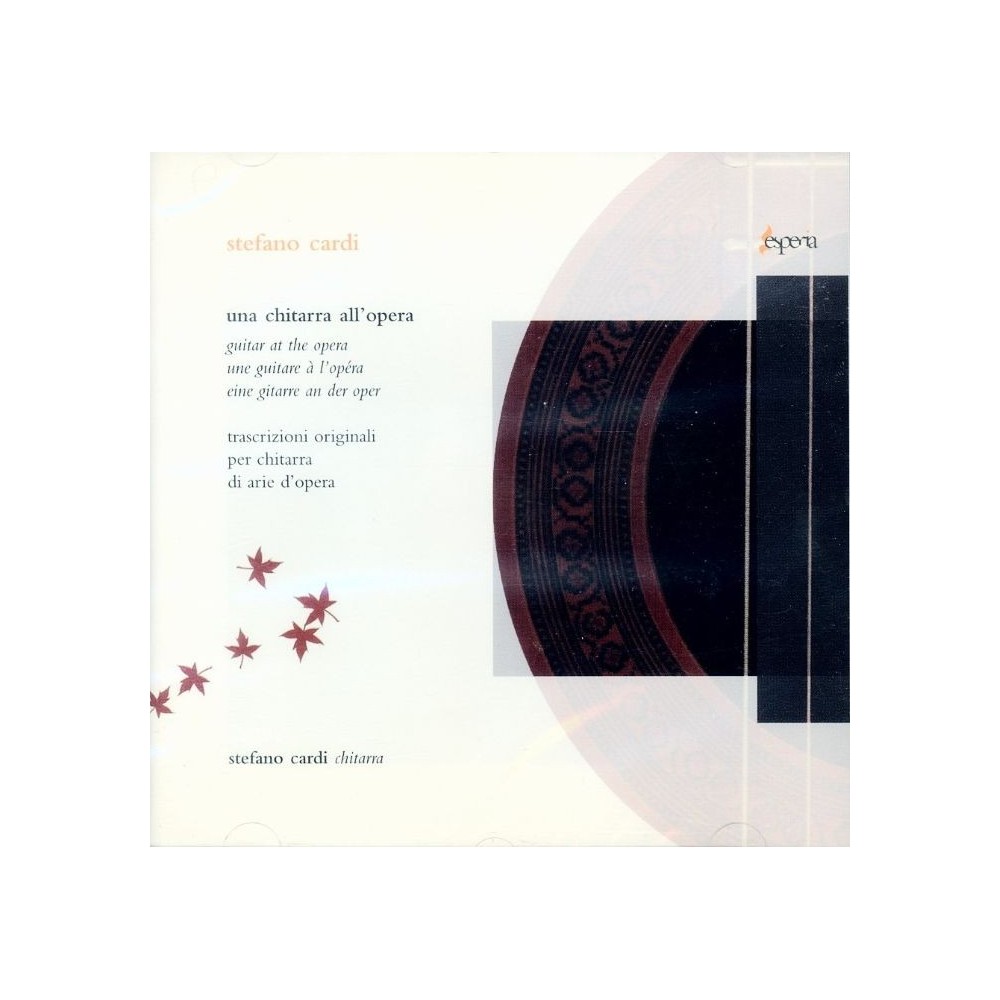 Une guitare à l'opéra..