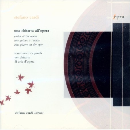 Une guitare à l'opéra..