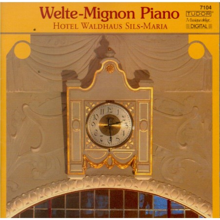 Welte-Mignon Piano (Hotel Waldhaus Sils Maria)