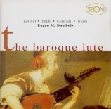 The Baroque Lute