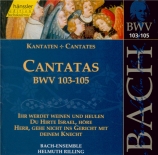 Cantatas Vol.33