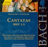 Cantatas Vol.1