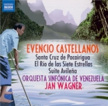 CASTELLANOS - Wagner - Santa Cruz de Pacairigua