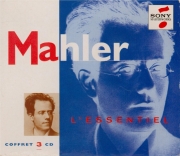 L'essentiel de Mahler